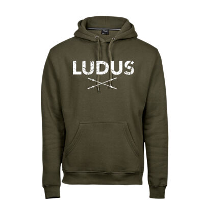 Ludus Gym Unisex Hoodie Thumbnail
